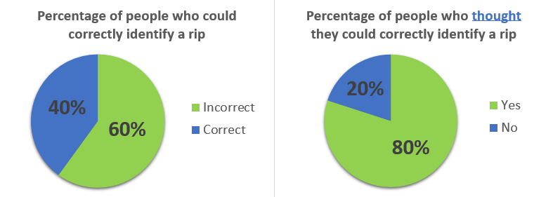 Charts that show survey results